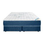 King Standard - Image 4